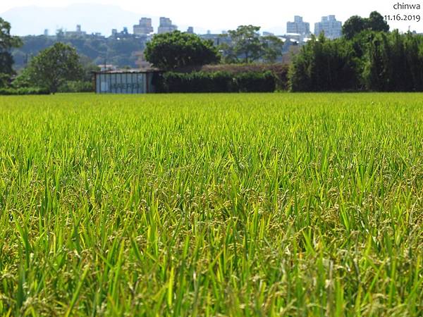 大溪.月眉休閒農業區