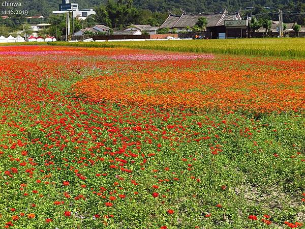 大溪.月眉休閒農業區