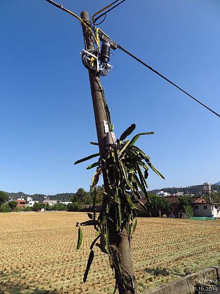 大溪.月眉休閒農業區