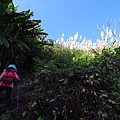 馬那邦山.珠湖線