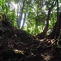 馬那邦山.珠湖線