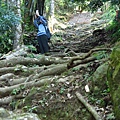 馬那邦山.珠湖上湖線