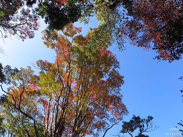 馬那邦山.古戰場紀念碑