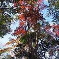 馬那邦山.古戰場紀念碑