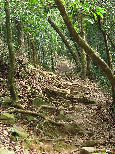 馬那邦山.珠湖上湖線