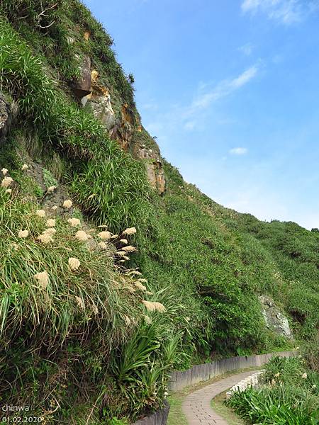 瑞芳.鼻頭角步道