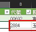 Excel 365.股票投資管理.新增股票資訊