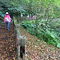 東眼山.森林知性步道