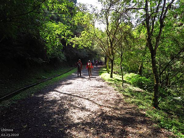 東眼山.東眼山林道