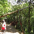 東滿步道