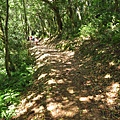 東滿步道