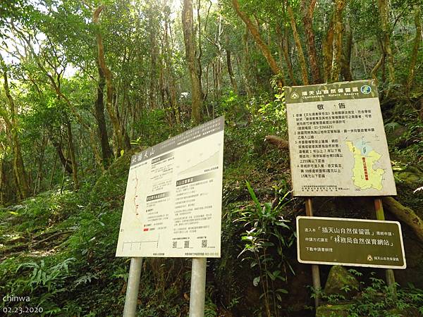 東滿步道.北插天岔口