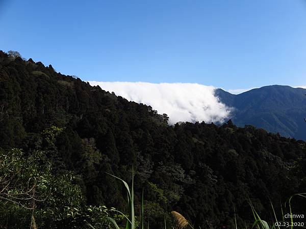 東眼山.東眼山林道