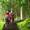 東眼山.自導式步道