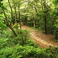 東眼山.自導式步道