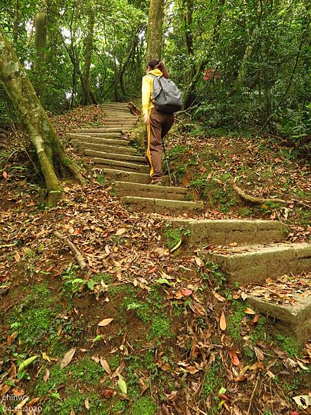 東眼山.自導式步道