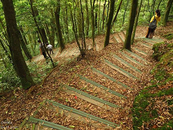 東眼山.自導式步道