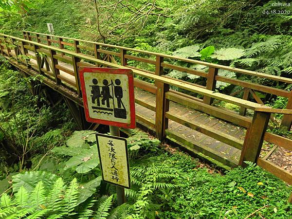 東眼山.自導式步道支線