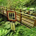 東眼山.自導式步道支線