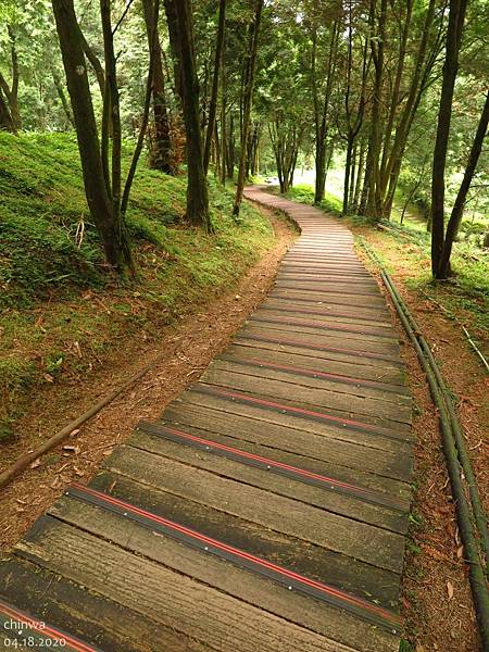 東眼山.自導式步道