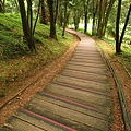 東眼山.自導式步道