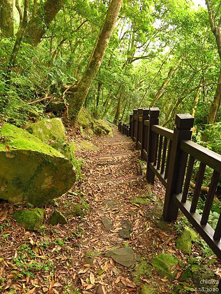 東眼山.親子峰步道