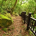 東眼山.親子峰步道