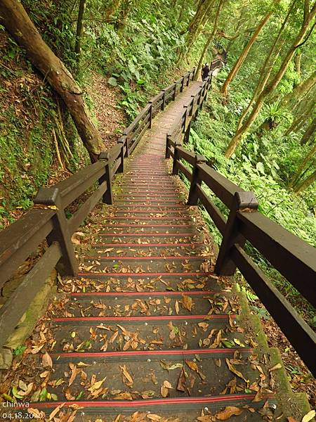 東眼山.親子峰步道