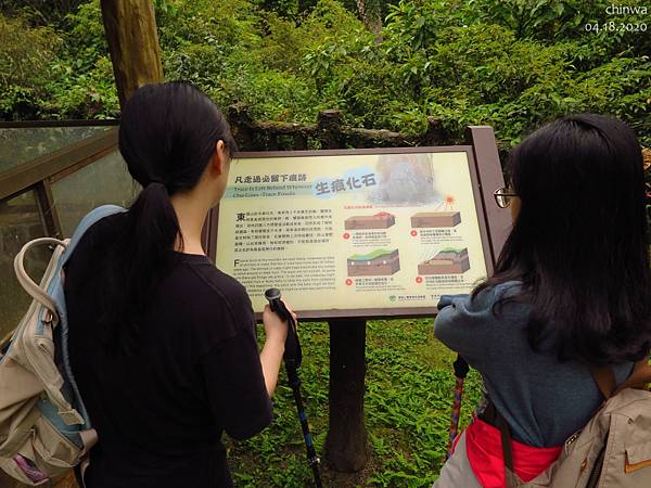 東眼山.化石區