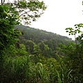 東眼山.東眼山林道