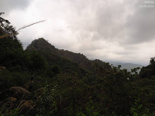 九九峰.森林步道