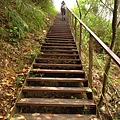 九九峰.森林步道