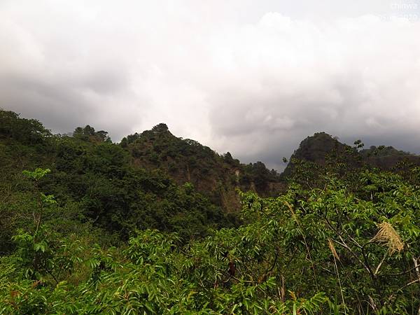 九九峰.森林步道