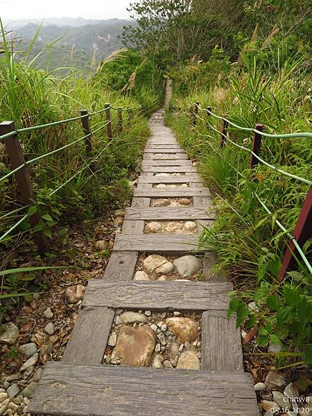 九九峰.森林步道