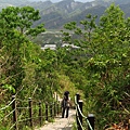 九九峰.森林步道