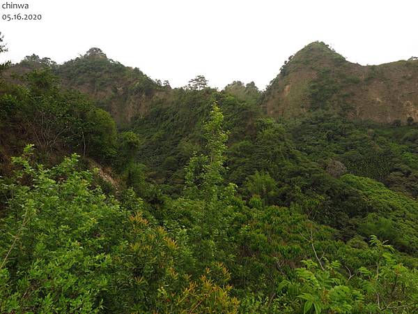 九九峰.森林步道