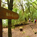 大雪山.木馬道