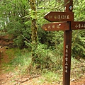 大雪山.稍來小雪山步道