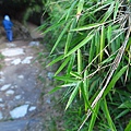 大雪山.埡口觀景台