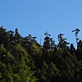 大雪山.埡口觀景台