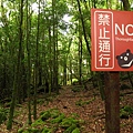 大雪山.稍來小雪山步道