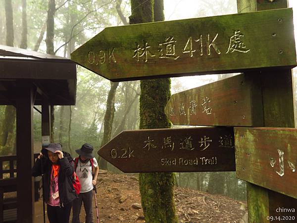 大雪山.稍來小雪山步道