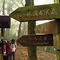 大雪山.稍來小雪山步道