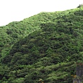 瑞芳.金瓜石神社