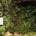 瑞芳.本山礦場