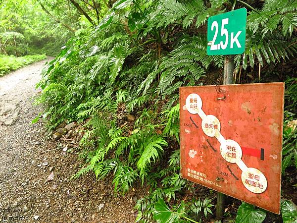 聖母登山步道.產業道路