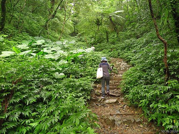 聖母登山步道