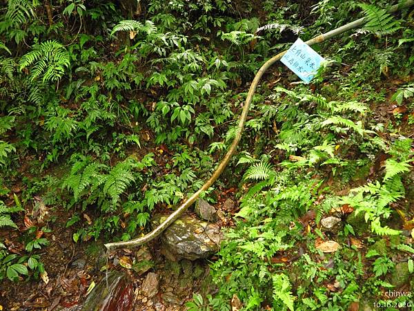 聖母登山步道