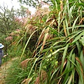 聖母登山步道