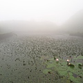 聖母登山步道